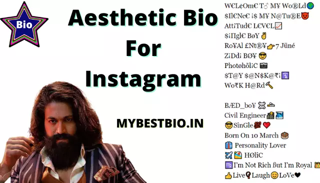 Aesthetic Bio For Instagram